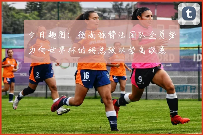 今日趣图:德尚称赞法国队全员努力向世界杯的姆总致以崇高敬意