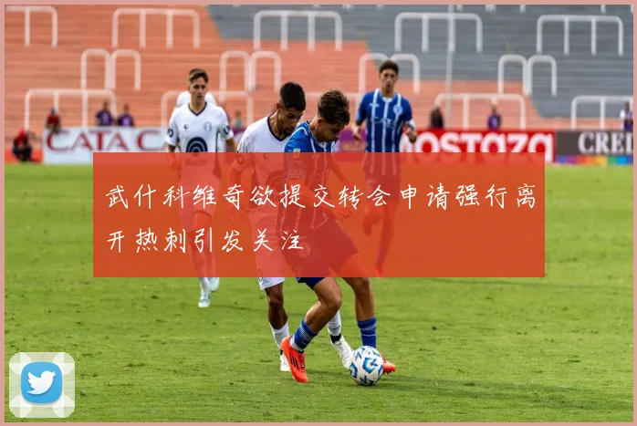 武什科维奇欲提交转会申请强行离开热刺引发关注
